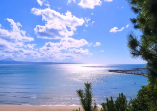 海岸の写真