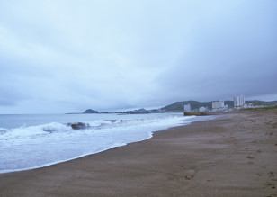 海岸の写真