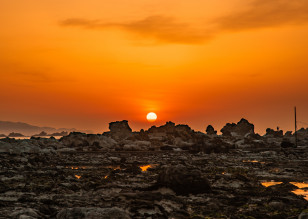 海岸の写真