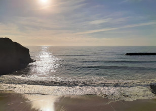 海岸の写真