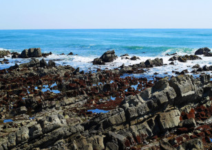 海岸の写真