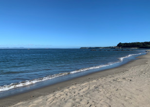 海岸の写真