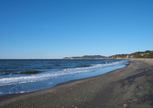 海岸の写真