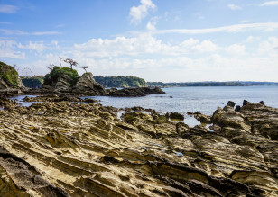 海岸の写真