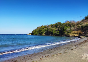 海岸の写真